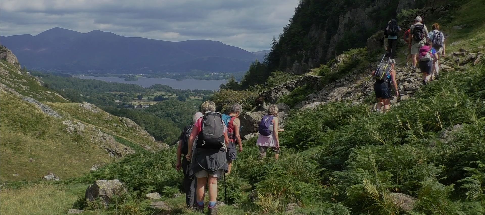 A person walking on a trail in the morning, symbolizing renewed energy and well-being