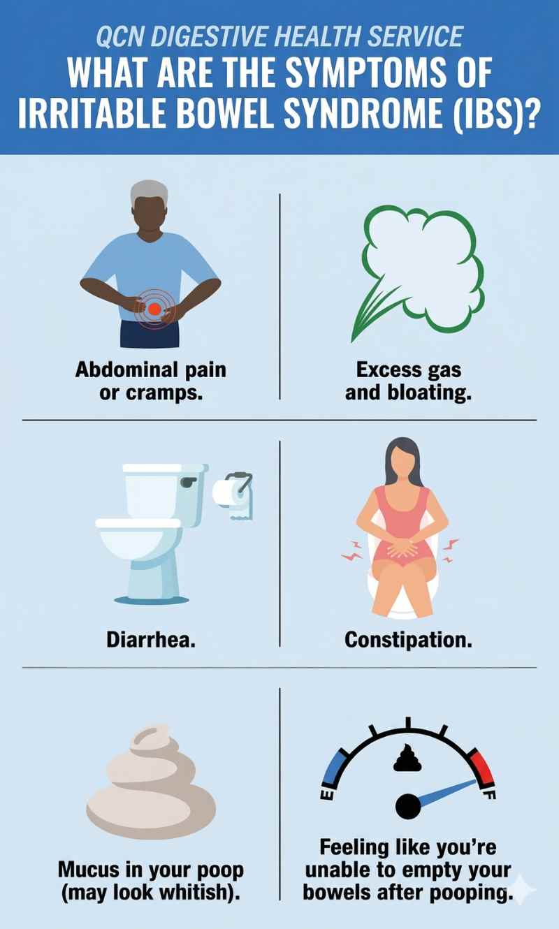 Healthy food and digestion support concept